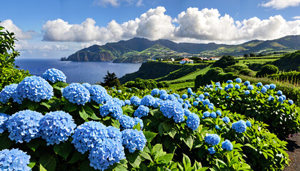Paysage enchanteur des A&ccedil;ores