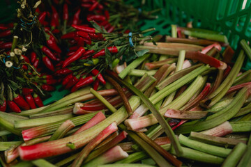 Fresh vegetables at small local urban market. Organic produce on sale at outdoor farmer market. Selling fresh crops and veggies harvest. European urban setting. Close up. Part of the series