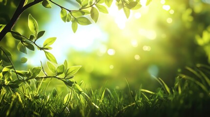 Obraz premium Sunlight shining through green leaves and grass in a forest.