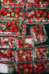 Fresh strawberry at small local urban market. Organic produce on sale at outdoor farmer market....
