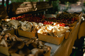 Fresh vegetables at small local urban market. Organic produce on sale at outdoor farmer market. Selling fresh crops and veggies harvest. European urban setting. Close up. Part of the series