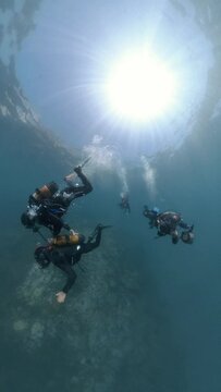 Beneath the Surface: Group Photography in Stunning Underwater Worlds