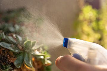 Hand holding a spray bottle watering plants on a terrace at sunset. Water mist and droplets from plant irrigation tools