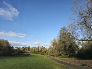 Obraz premium A grassy field with a path running through it