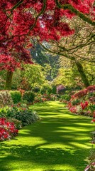 Obraz premium Lush Garden Pathway with Vibrant Red Maple Trees and Colorful Blooms Surrounded by Greenery in a Serene Outdoor Landscape