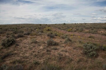 desert view