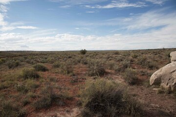 desert view