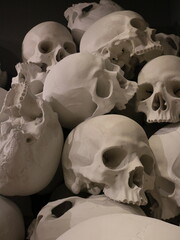 Pile of skulls with black background