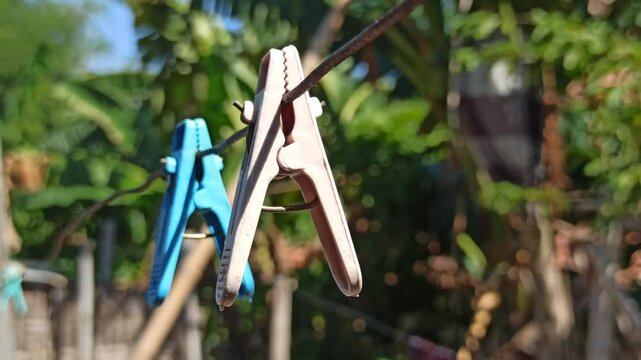 clothespin in the yard