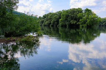 A calm lake with trees in the background