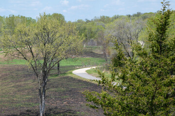A paved walking path at a local Minnesota park surrounded by grass and trees.