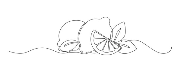 Lemons with leaves drawn with continuous line in minimalism, tropical fruits, editable vector contour.