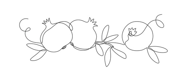 Pomegranate fruit with leaves, garnet drawn with continuous line in minimalism, tropical fruits, editable vector contour