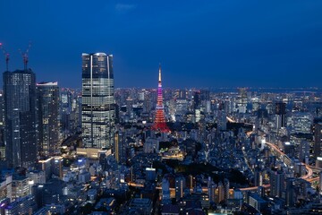 Panoramic view of metropolitan Tokyo