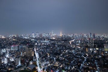 Panoramic view of metropolitan Tokyo