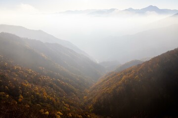 Autumn leaves and sea of ​​clouds in Nikko