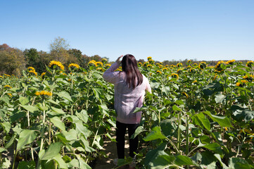 girl in a field of sunflowers