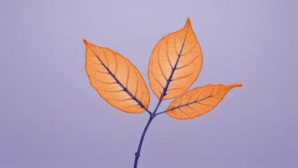 Minimalist orange leaves on pastel purple background