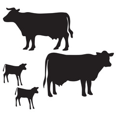 black and white cowo, Cow silhouette