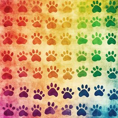 Fototapeta premium Rainbow Pattern of Colorful Paw Prints on Vintage Textured Background