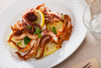 Seafood lunch. Tasty fried squid or octopus tentacles closeup