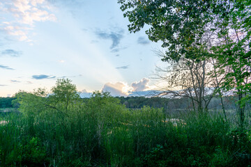 A stunning sunset and God's rays over a local MN lake with lots of greenery.