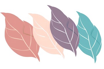 illustration of leaf