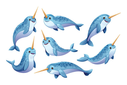 Set of narwhal in different poses. Vector cartoon illustration