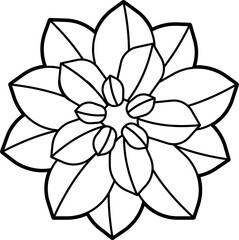 Succulent plant outline vector