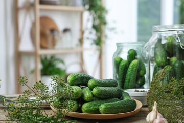 Fresh cucumbers, dill and garlic on table, closeup. Preparation for pickling