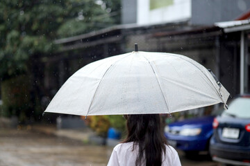 Woman is Walking in The Rain With an Umbrella