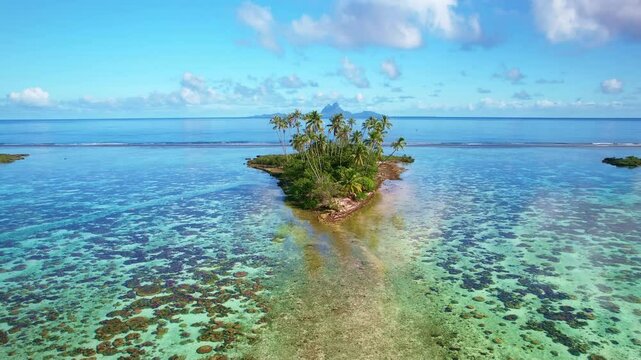 Drone Tahiti. Aerial view of Tahaa island lagoon, Bora Bora in background. palm trees and clear ocean water in French Polynesia. Exotic travel, romantic honeymoon destination in French Polynesia. 