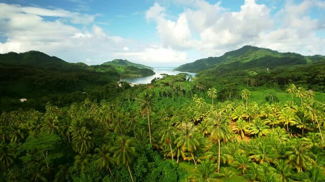 Drone Tahiti. Aerial view of Tahaa island valley, palm trees in mountain jungle island coastline. Adventure travel vacation, romantic getaway. tourism destination in French Polynesia. 