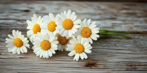 Obraz premium A bunch of daisies on a wooden surface.