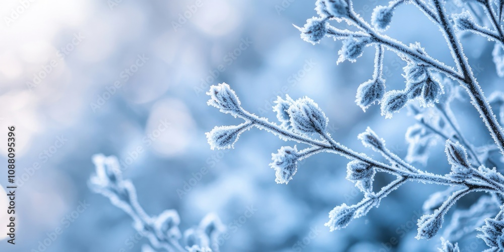 Aufkleber close-up of snowy and frosty tree branches