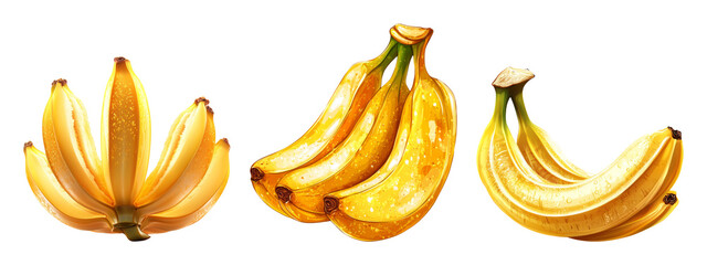 Isolated Bananas on Clear Background