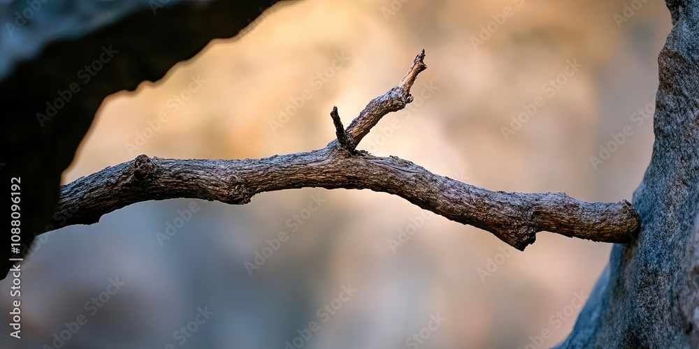 Aufkleber dried branch in a narrow opening in front of a blurred background