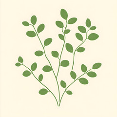 Obraz premium Soft green flat marjoram leaves arranged in small clusters