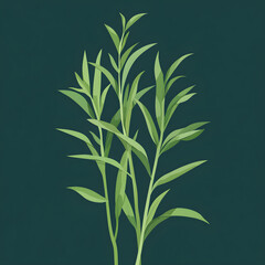 Obraz premium Flat tarragon sprigs with long, narrow leaves in dark green tones