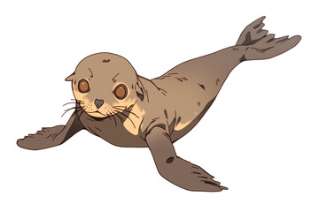 Obraz premium cute seal with large eyes and whiskers is isolated on white background. Its flippers are spread out, and it appears to be playfully looking forward