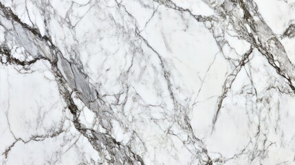 Elegant white marble texture with subtle gray veins