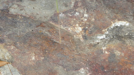 Rough Textured Brown Rock Surface with Mineral Deposits
