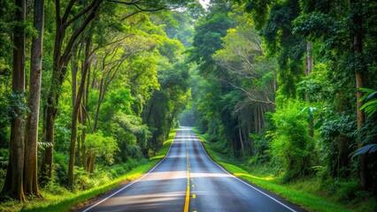Obraz premium Road leading into lush forest at World Heritage Khao Yai National Park, Thailand , nature, travel, adventure, landscape