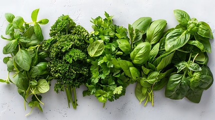 A clear photo of an assortment of fresh herbs like parsley, cilantro, and basil 