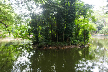 UGM wisdom park lake with lush trees in the middle.