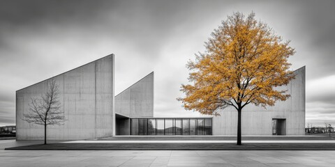 Obraz premium Modern Architecture with a Touch of Gold: A striking minimalist scene featuring a solitary golden tree standing out against a backdrop of stark grey concrete architecture.