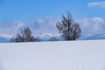 北海道　冬の美瑛の雪景色