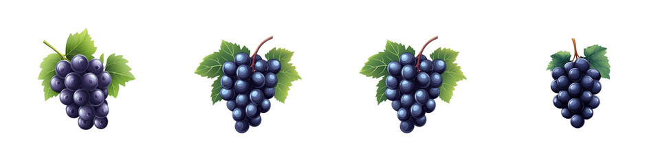 Flat style illustration of purple grapes isolated on white background. Mix Collection Png.