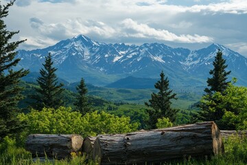 Aerial View of Logging Site in Mountain Landscape