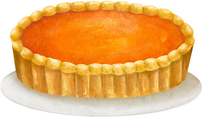 Orange color pumpkin carrot pie cake on plate isolated hand drawn painting watercolor illustration